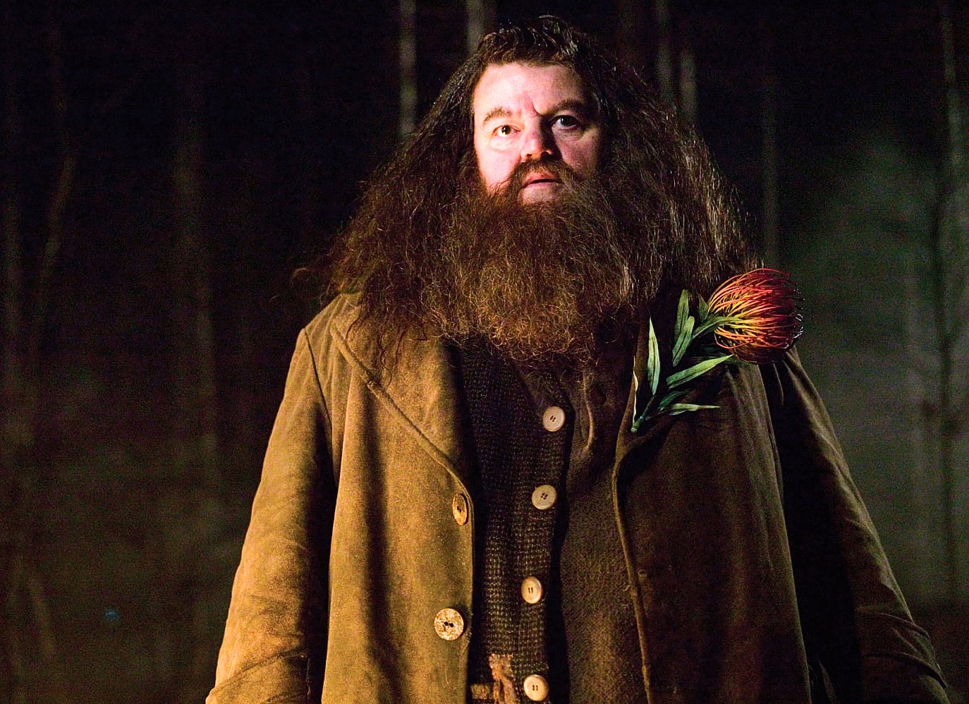 Hagrid